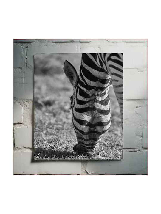Панел Grazing Zebra В Черно И Бяло Зебра На Паша 70x100