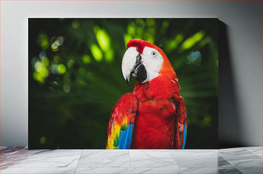 Colorful Parrot In Nature Πολύχρωμος Παπαγάλος Στη Φύση 1 Colorful Parrot In Nature Πολύχρωμος Παπαγάλος Στη Φύση 1