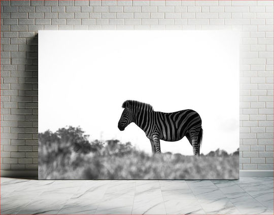 Zebra In The Wild Zebra In The Wild Zebra In The Wild Zebra In The Wild