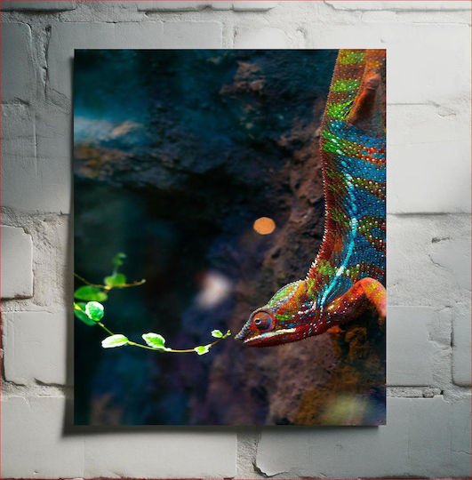 Πίνακας Colorful Chameleon Πολύχρωμος Χαμαιλέοντας 70x100