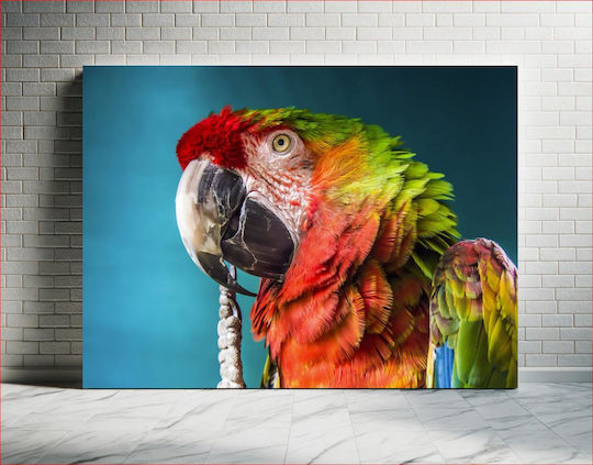 Πίνακας Colorful Parrot Close-up Πολύχρωμο Παπαγάλος Κινηματογράφηση Πρώτο Πλάνο 120x80