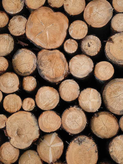 Logs P Ξύλινο
