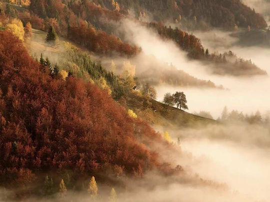 Foggy Scenery P Ξύλινο