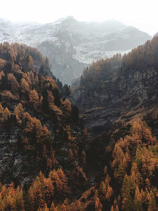 Poster Mountain View Pst25146 40cm X 50cm Premium Μαύρο Ξύλινο Κάδρο
