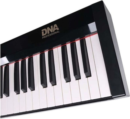 Deepcool Dna Sp 88 mit 88 Tasten Schwarz
