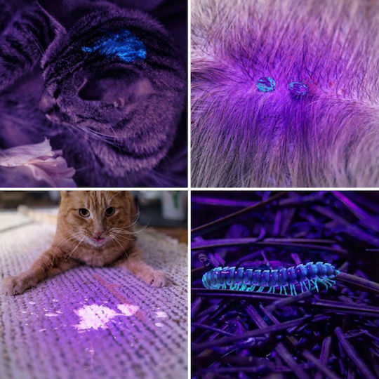Φακός LED UV IP46