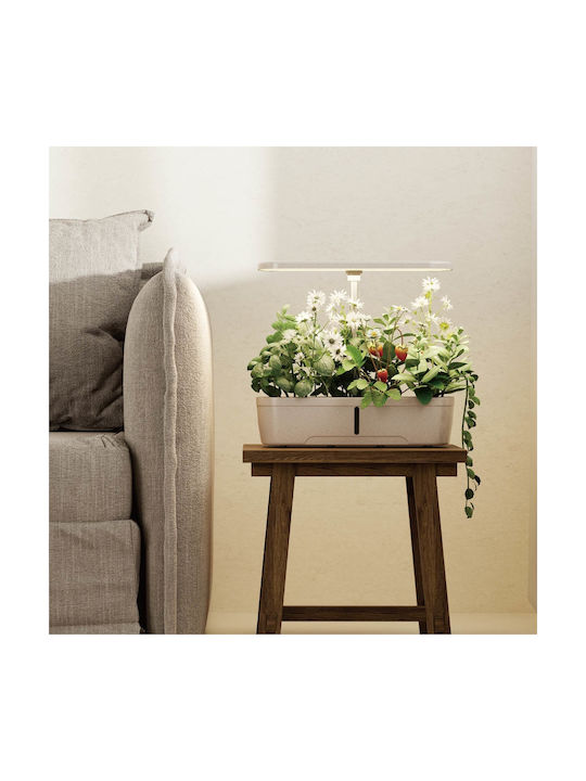 Brateck Flower Pot Beige 39.5x18x16.7cm