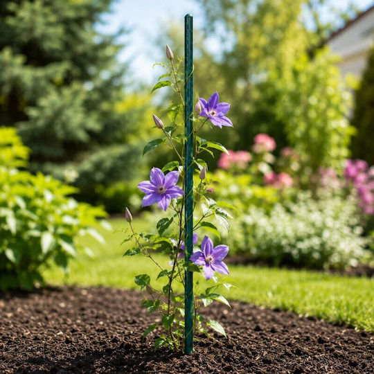 Araci Si Suporturi Plante Lungime 90 Cm Diametru 11 Mm Set 25 Bucăți