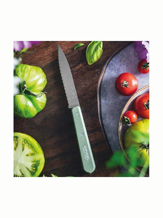 Opinel No 113 Μαχαίρι Γενικής Χρήσης από Ανοξείδωτο Ατσάλι 10cm