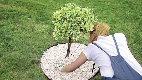 Lawn Edging Plastic 28 Anchor Stakes 8 M