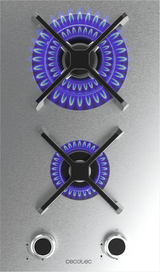 Cecotec Squad Domino Газов Автономен Плот Inox 29x51 см Сребърен