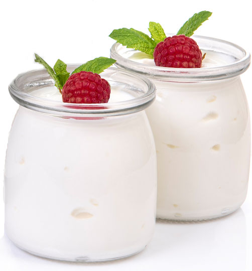 First Austria Yogurt Maker with Jars and Digital Display 1.52lt Black 25W
