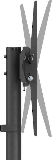 Akai Proffesional ST3670 Fernsehhalterung Boden bis 70" und 45kg