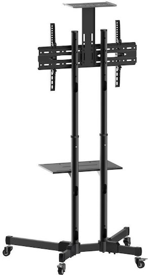 Akai Proffesional ST3770 Βάση Τηλεόρασης Δαπέδου έως 70" και 50kg