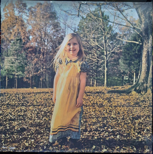 Allman Brothers Band Brothers Sisters Vinyl