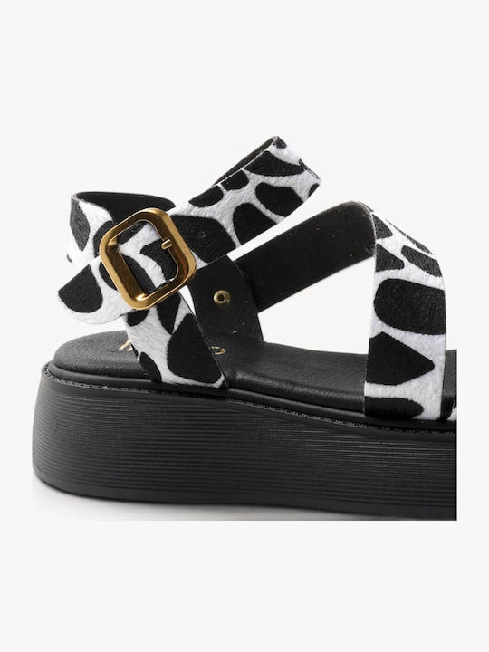Black Cow Print Flatforms Soft Sole Gold Buckle
