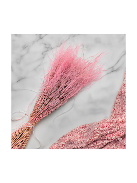 Dried Stipa Feather Grass Stipa Pennata Antique Pink