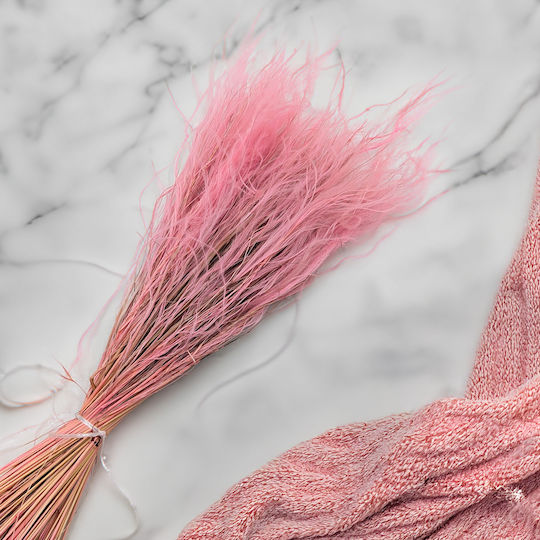 Dried Stipa Feather Grass Stipa Pennata Antique Pink