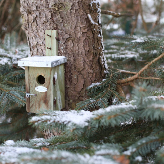 Bird Nesting Box 25x13.5 Cm