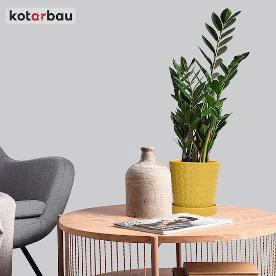 Kotarbau Γλάστρα Πήλινη Mustard με Πιάτο 15x15εκ.