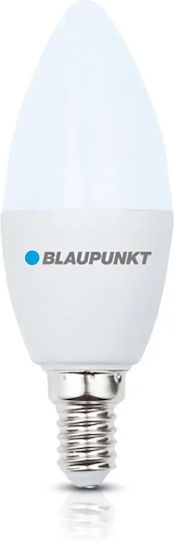 Blaupunkt LED Bulb 10W for Socket E14 and Shape C37 Cool White