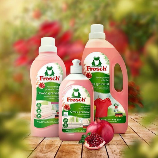 Frosch Υγρό Πιάτων Βιολογικό 500ml