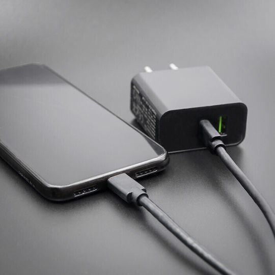 Qoltec USB 2.0 Cable USB-C male - USB-C Μαύρο 3m 52348