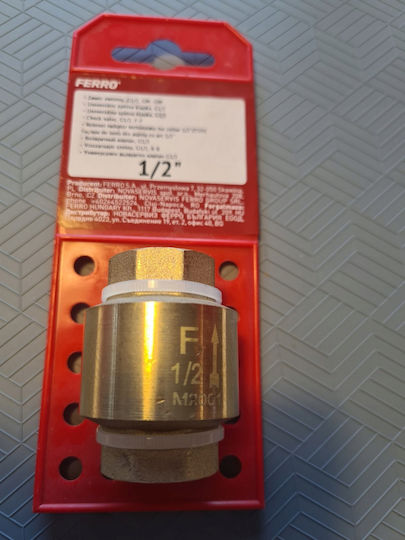 Supapă De Reținere 1-2"