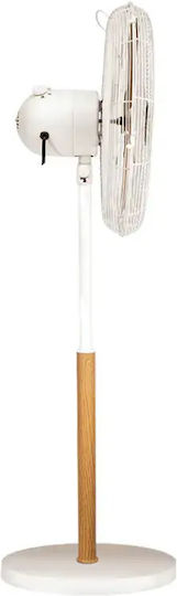 Gruppe Ivory - Wood