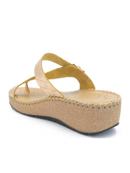 Anatomic Summer Women's Gold Platforms