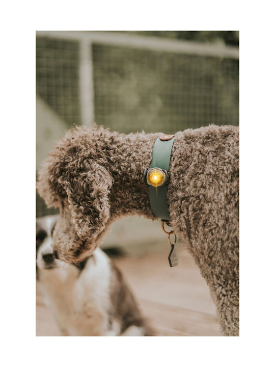 Φωτάκι Orbiloc Dog Dual White