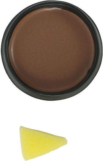 Brown Face Painting Makeup Color