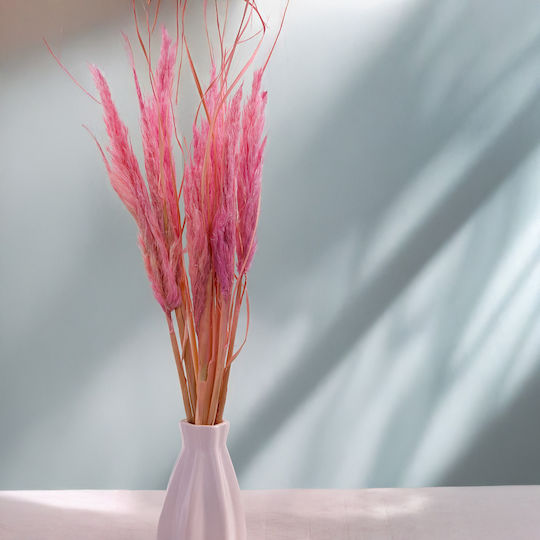Mini Pampas Grass Roz 10 Bucăți