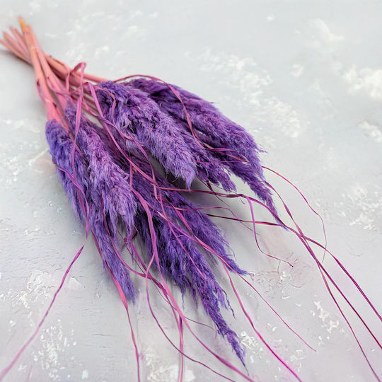 Mini Pampas Grass Lilac 10pcs Mini Pampas Grass Lilac 10pcs
