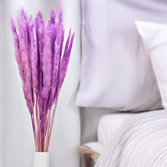 Mini Pampas Grass Purple Mini Pampas Grass Purple