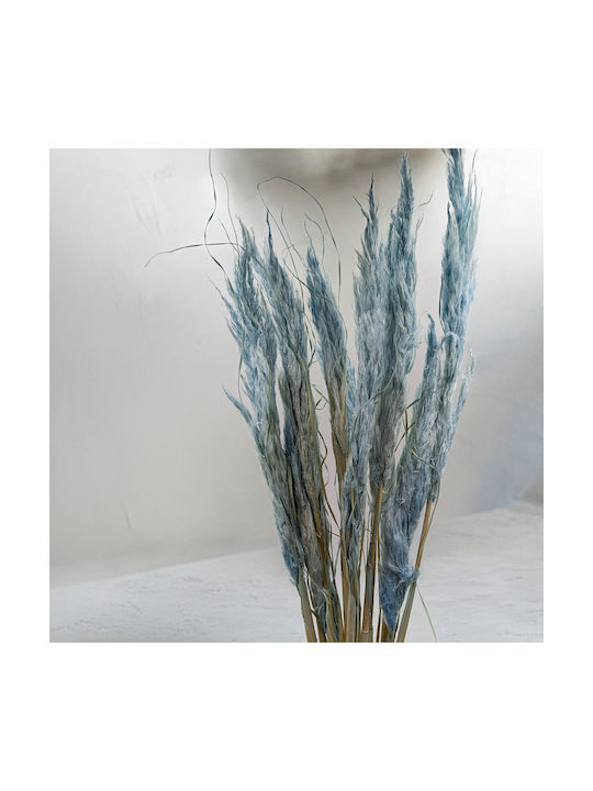 Mini Pampas Grass Blue 10pcs