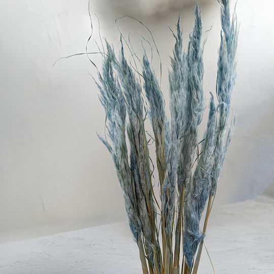 Mini Pampas Grass Blue 10pcs Mini Pampas Grass Blue 10pcs