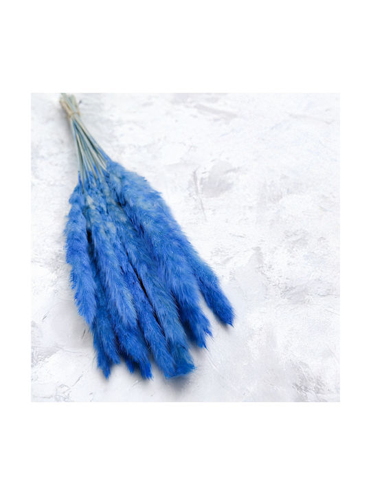 Mini Pampas Grass Blue
