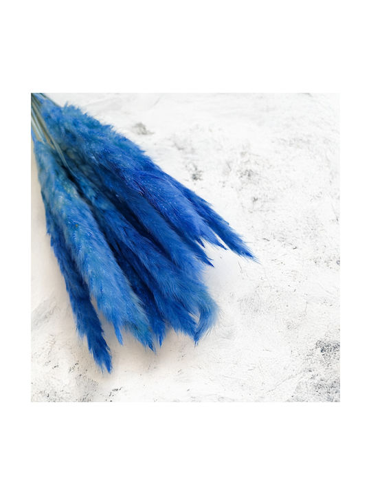 Mini Pampas Grass Blue