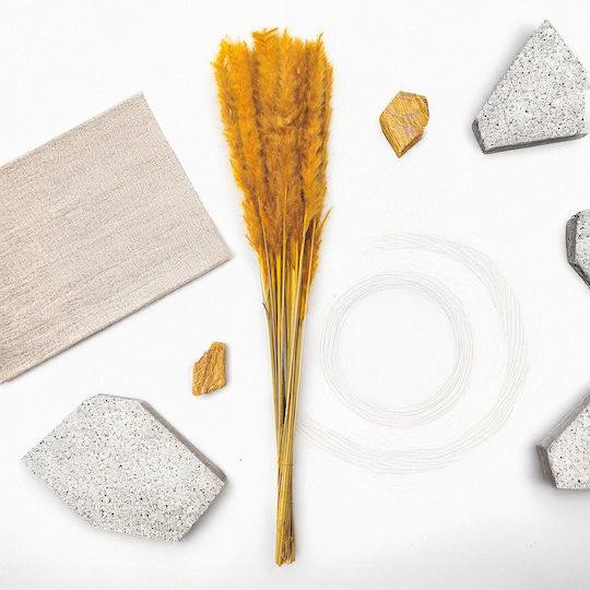 Mini Pampas Grass Mustard Mini Pampas Grass Mustard