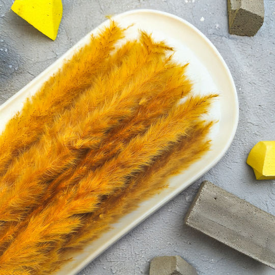 Mini Pampas Grass Mustard