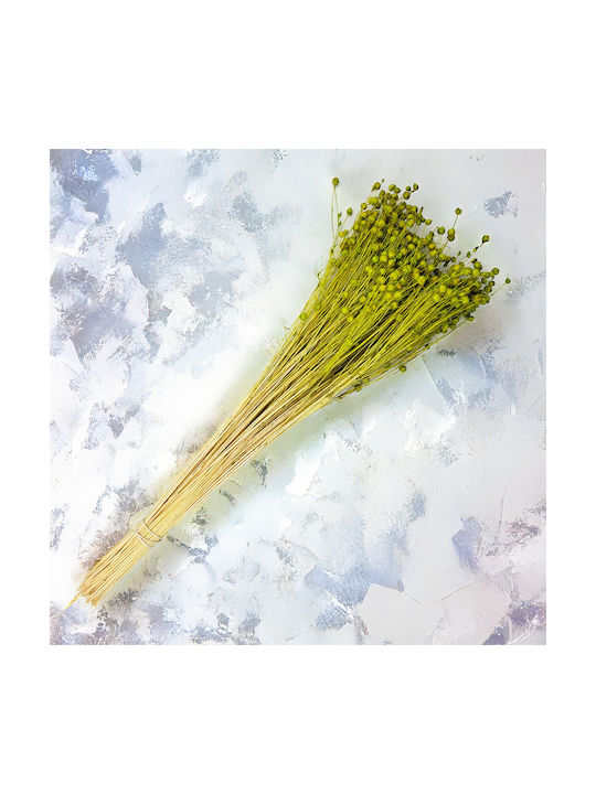 Dried Flaxseed Celadon
