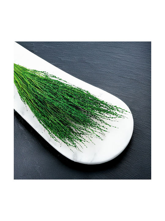 Lepidium Lepidium Sativum Green