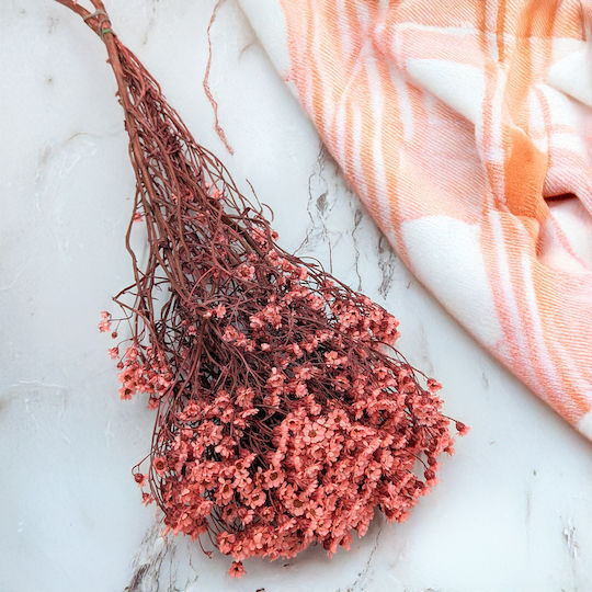 Oxodia Dried Salmon