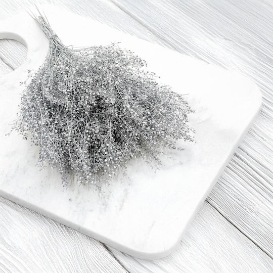 Dried Lepidium Lepidium Sativum Silver