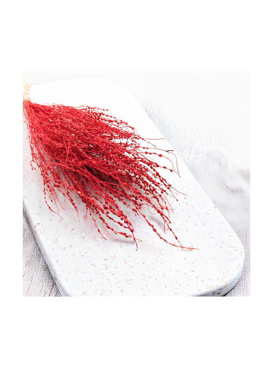 Lepidium Lepidium Sativum Red