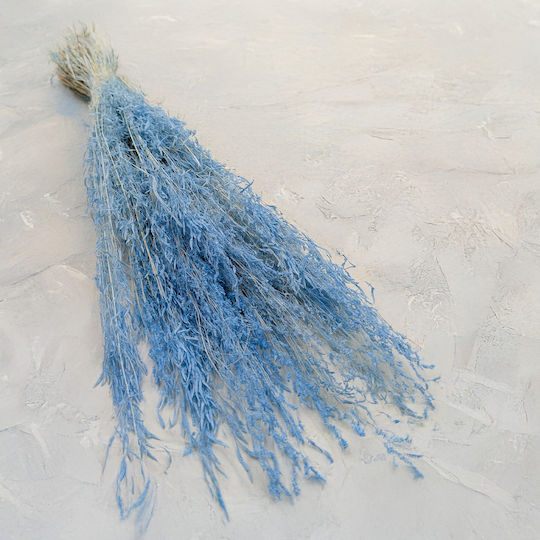 Dried Trembling Grass Briza Segromigno Blue