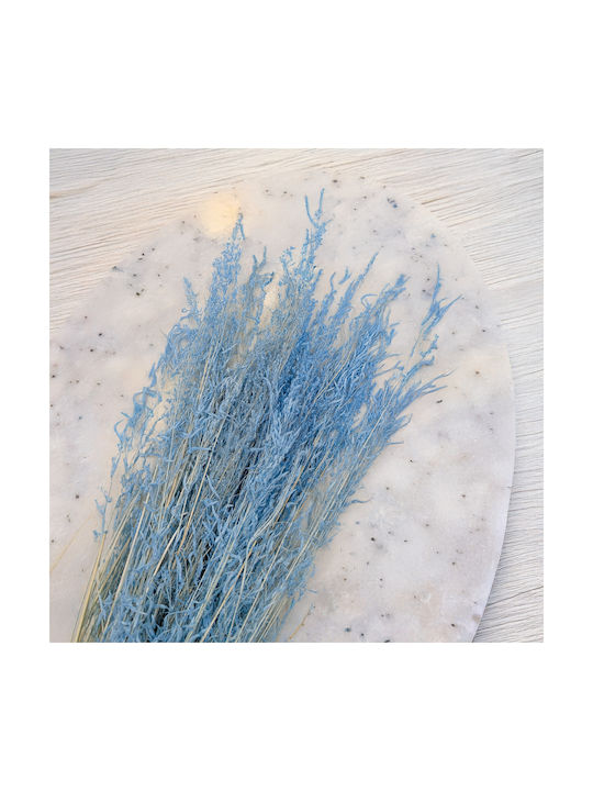 Dried Trembling Grass Briza Segromigno Blue