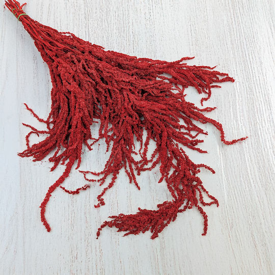 Stabilisierter Roter Amaranth