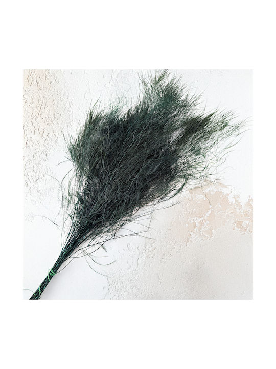 Stabilized Fern Tree-like